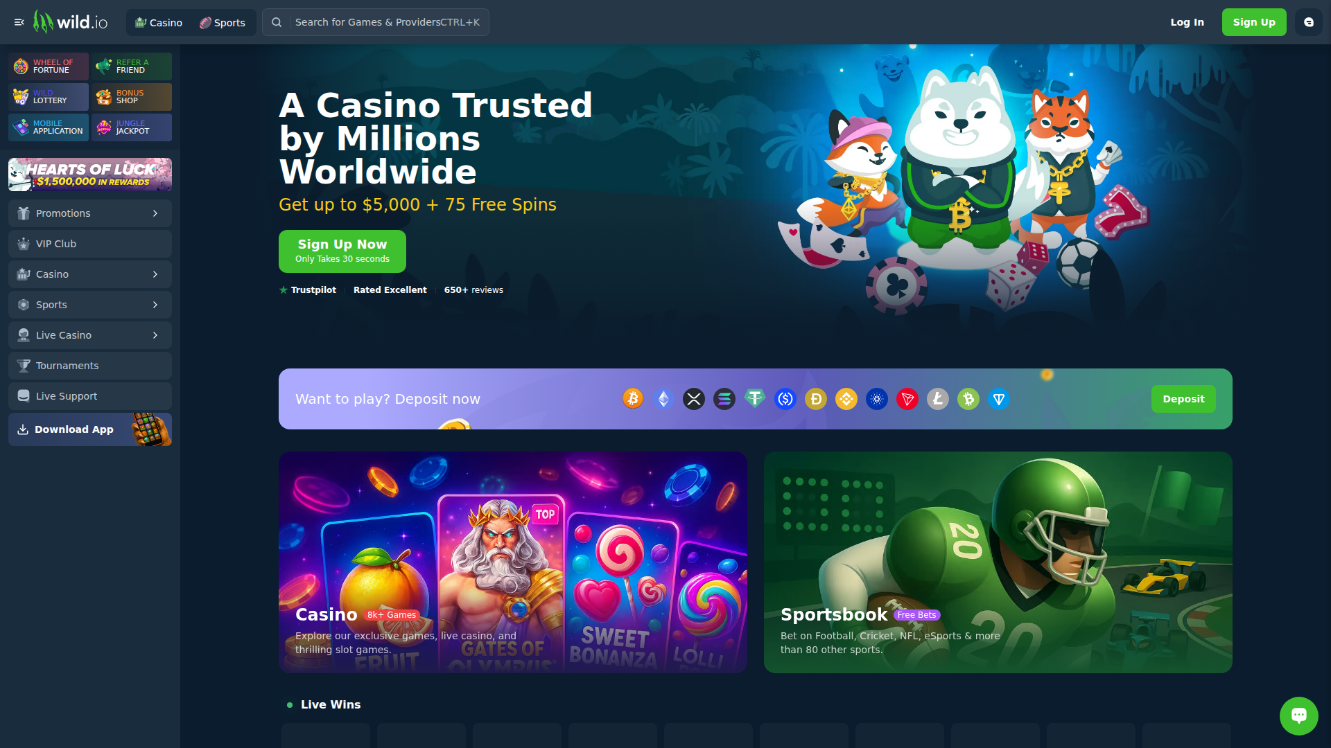 Wild.io Casino Homepage